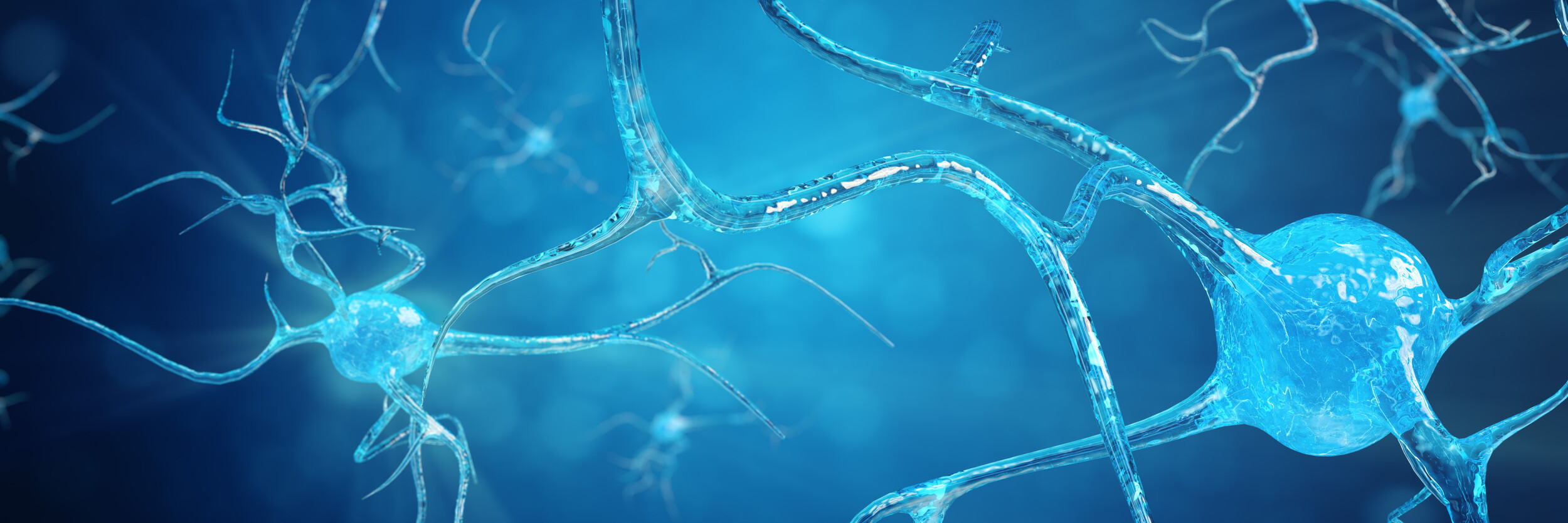 synapsen-ermoeglichen-die-kommunikation-zwischen-neuronen (nervenzellen)